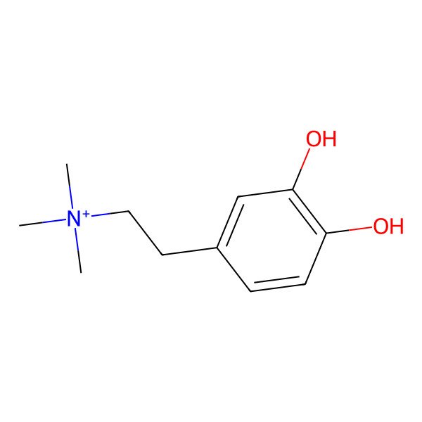 2D Structure of Coryneine
