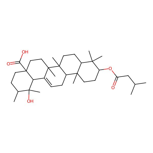 2D Structure of 1-Hydroxy-1,2,6a,6b,9,9,12a-heptamethyl-10-(3-methylbutanoyloxy)-2,3,4,5,6,6a,7,8,8a,10,11,12,13,14b-tetradecahydropicene-4a-carboxylic acid