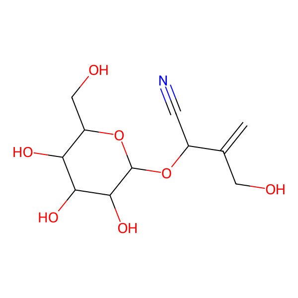 2D Structure of (2S)-3-(hydroxymethyl)-2-[(2R,3R,4S,5R,6R)-3,4,5-trihydroxy-6-(hydroxymethyl)oxan-2-yl]oxybut-3-enenitrile