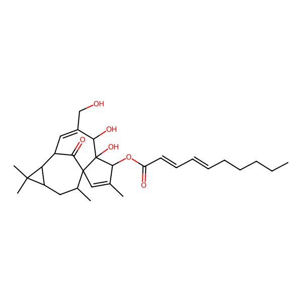 2D Structure of [(4S,5S,6R,9R,10R,14R)-5,6-dihydroxy-7-(hydroxymethyl)-3,11,11,14-tetramethyl-15-oxo-4-tetracyclo[7.5.1.01,5.010,12]pentadeca-2,7-dienyl] (2E,4E)-deca-2,4-dienoate