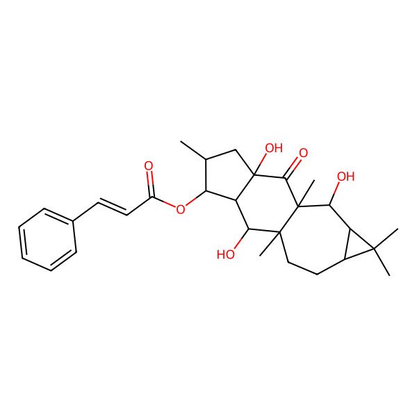2D Structure of [(1R,2R,3S,4S,5S,7R,9R,10R,11R,13S)-2,7,10-trihydroxy-1,5,9,12,12-pentamethyl-8-oxo-4-tetracyclo[7.6.0.03,7.011,13]pentadecanyl] (E)-3-phenylprop-2-enoate