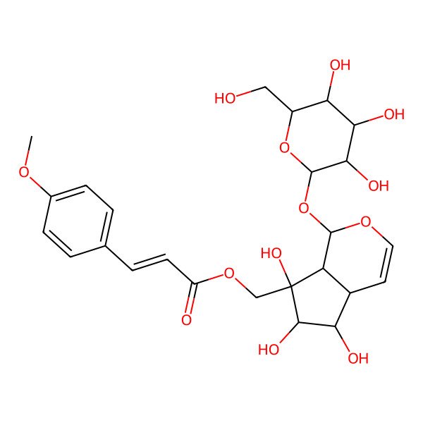2D Structure of (E)-4''-Methoxyglobularinin