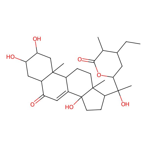 2D Structure of 4-ethyl-6-[1-hydroxy-1-[(2S,3R,5R,10R,13R,17S)-2,3,14-trihydroxy-10,13-dimethyl-6-oxo-2,3,4,5,9,11,12,15,16,17-decahydro-1H-cyclopenta[a]phenanthren-17-yl]ethyl]-3-methyloxan-2-one