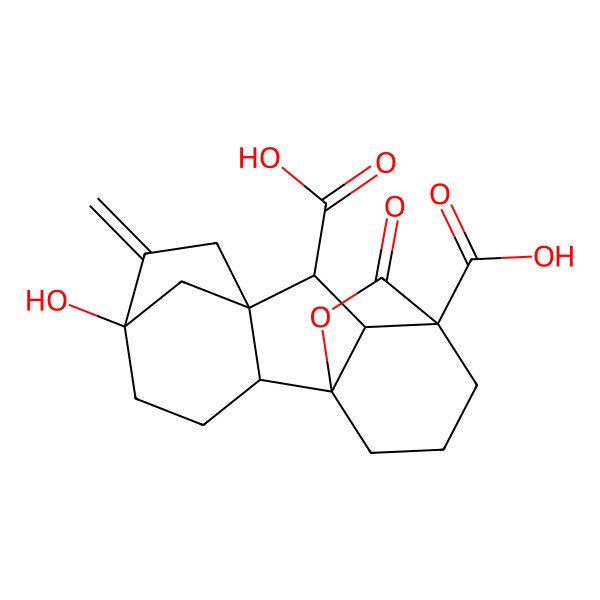 2D Structure of (9S)-5-hydroxy-6-methylidene-16-oxo-15-oxapentacyclo[9.3.2.15,8.01,10.02,8]heptadecane-9,11-dicarboxylic acid