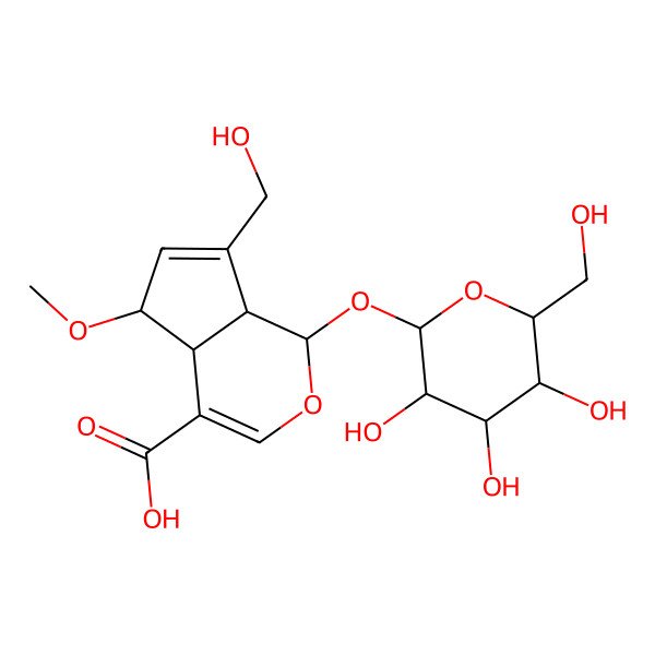 2D Structure of 7-(hydroxymethyl)-5-methoxy-1-[(2S,3R,4S,5S,6R)-3,4,5-trihydroxy-6-(hydroxymethyl)oxan-2-yl]oxy-1,4a,5,7a-tetrahydrocyclopenta[c]pyran-4-carboxylic acid