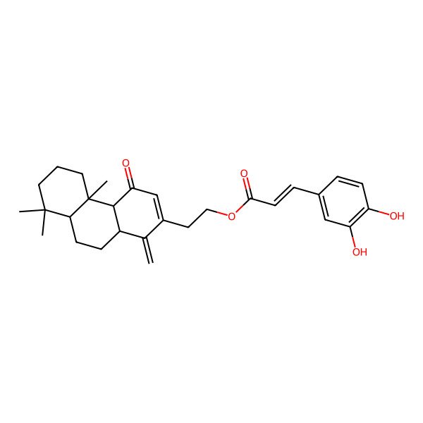 2D Structure of 2-[(4aS,4bS,8aS,10aR)-4b,8,8-trimethyl-1-methylidene-4-oxo-4a,5,6,7,8a,9,10,10a-octahydrophenanthren-2-yl]ethyl (E)-3-(3,4-dihydroxyphenyl)prop-2-enoate