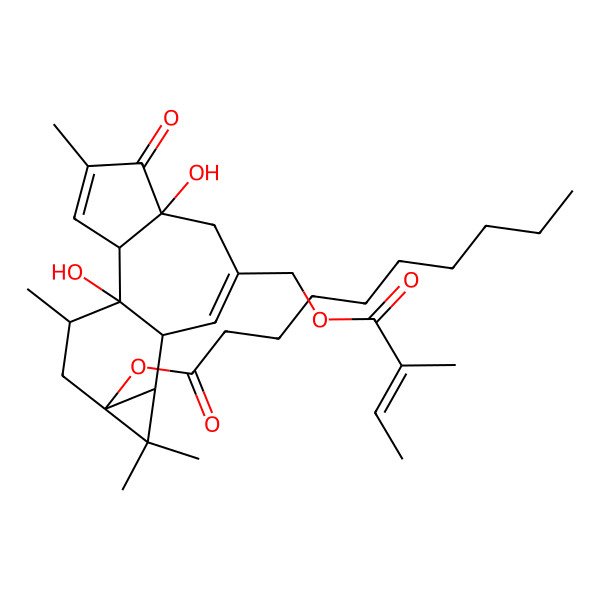 2D Structure of [(1R,2S,6R,10S,11R,13S,15R)-1,6-dihydroxy-4,12,12,15-tetramethyl-8-[[(E)-2-methylbut-2-enoyl]oxymethyl]-5-oxo-13-tetracyclo[8.5.0.02,6.011,13]pentadeca-3,8-dienyl] decanoate
