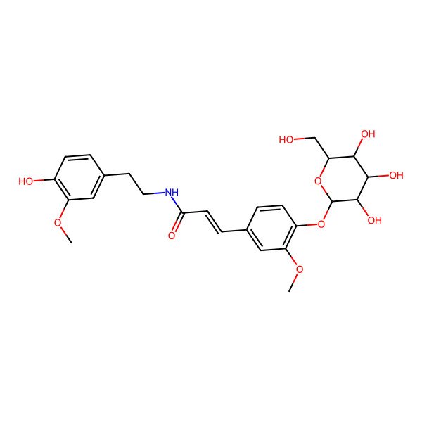 2D Structure of (E)-N-[2-(4-hydroxy-3-methoxyphenyl)ethyl]-3-[3-methoxy-4-[(2S,3R,4R,5R,6R)-3,4,5-trihydroxy-6-(hydroxymethyl)oxan-2-yl]oxyphenyl]prop-2-enamide