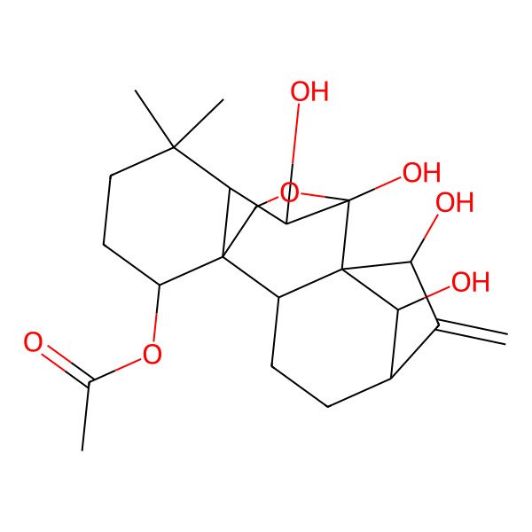 2D Structure of [(2S,5S,9S,10R,11R,15S,18R)-7,9,10,18-tetrahydroxy-12,12-dimethyl-6-methylidene-17-oxapentacyclo[7.6.2.15,8.01,11.02,8]octadecan-15-yl] acetate