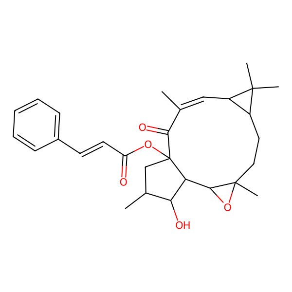 2D Structure of [(10E)-16-hydroxy-4,8,8,11,15-pentamethyl-12-oxo-3-oxatetracyclo[11.3.0.02,4.07,9]hexadec-10-en-13-yl] (E)-3-phenylprop-2-enoate