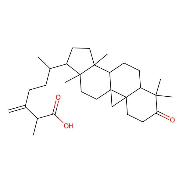 2D Structure of (2R)-2-methyl-3-methylidene-6-[(1S,3R,15R,16R)-7,7,12,16-tetramethyl-6-oxo-15-pentacyclo[9.7.0.01,3.03,8.012,16]octadecanyl]heptanoic acid