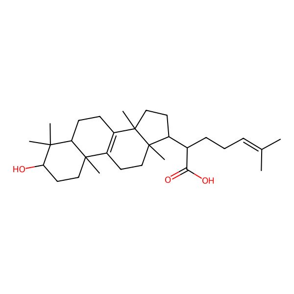 2D Structure of Elemolic acid