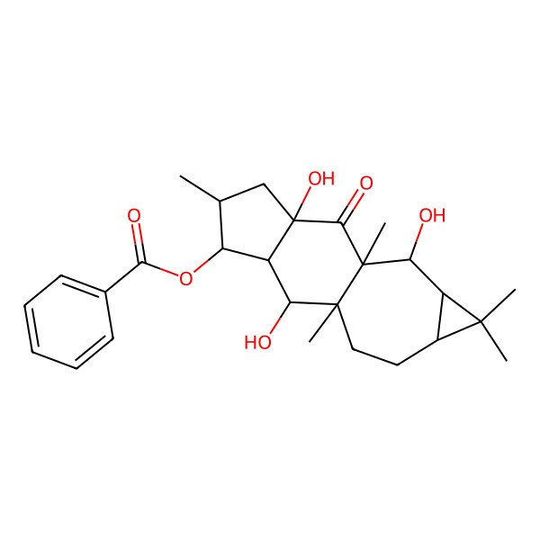 2D Structure of [(1R,2R,3S,4S,5S,7R,9R,10R,11R,13S)-2,7,10-trihydroxy-1,5,9,12,12-pentamethyl-8-oxo-4-tetracyclo[7.6.0.03,7.011,13]pentadecanyl] benzoate