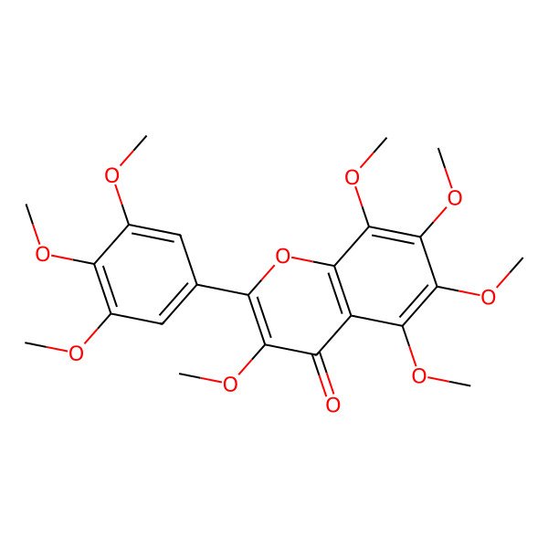 2D Structure of Exoticin