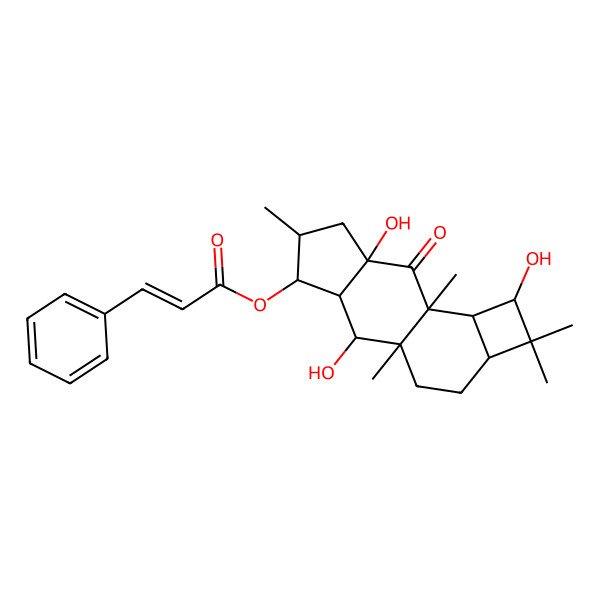 2D Structure of [(1R,2R,3S,4S,5S,7R,9S,10R,11R,13S)-2,7,11-trihydroxy-1,5,9,12,12-pentamethyl-8-oxo-4-tetracyclo[7.6.0.03,7.010,13]pentadecanyl] (E)-3-phenylprop-2-enoate