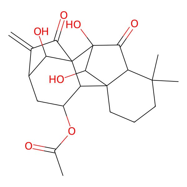 2D Structure of [(1R,2S,3S,5S,8S,9R,11R,16S,17R)-9,16,17-trihydroxy-12,12-dimethyl-6-methylidene-7,10-dioxo-3-pentacyclo[7.6.1.15,8.01,11.02,8]heptadecanyl] acetate