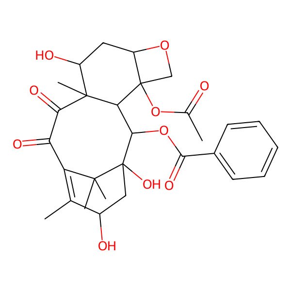 2D Structure of [(1S,2S,3R,4S,7R,10S,15S)-4-acetyloxy-1,9,15-trihydroxy-10,14,17,17-tetramethyl-11,12-dioxo-6-oxatetracyclo[11.3.1.03,10.04,7]heptadec-13-en-2-yl] benzoate