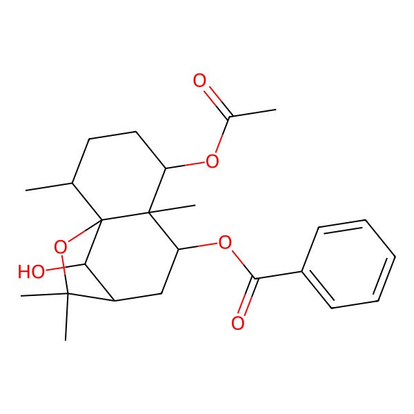 2D Structure of [(1S,2R,5S,6S,7S,9R,12R)-5-acetyloxy-12-hydroxy-2,6,10,10-tetramethyl-11-oxatricyclo[7.2.1.01,6]dodecan-7-yl] benzoate