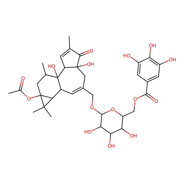 2D Structure of Fischeroside B