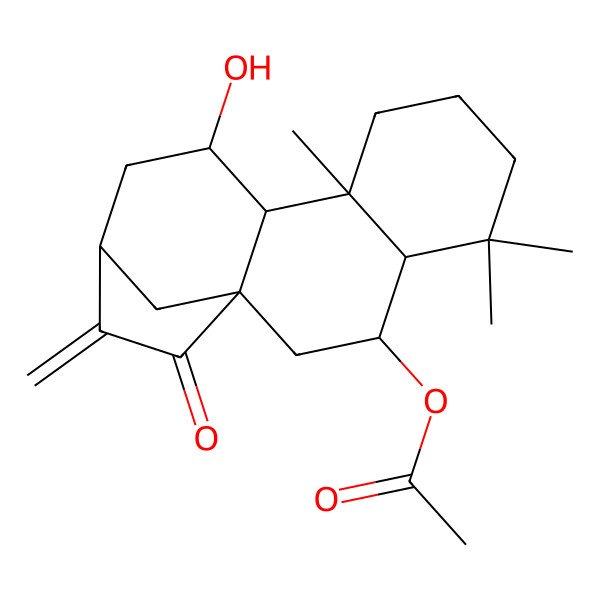 2D Structure of [(1S,3S,4R,9S,10S,11S,13S)-11-hydroxy-5,5,9-trimethyl-14-methylidene-15-oxo-3-tetracyclo[11.2.1.01,10.04,9]hexadecanyl] acetate