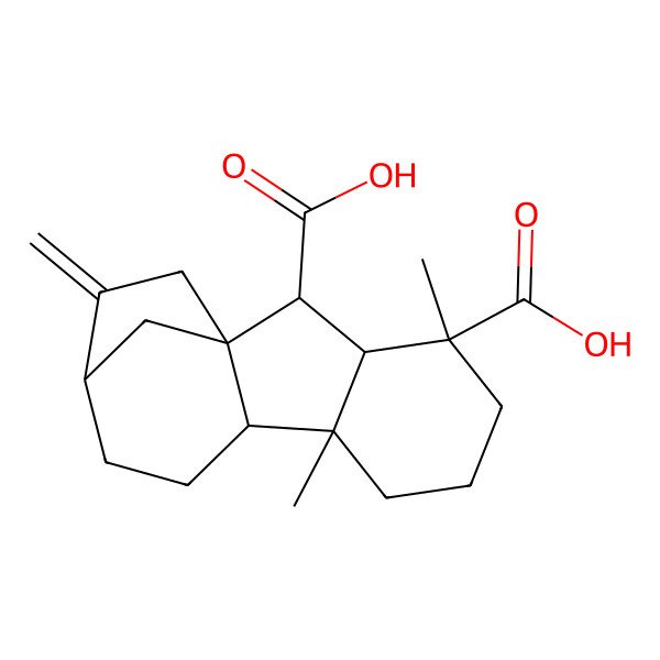 2D Structure of Gibberellin A12