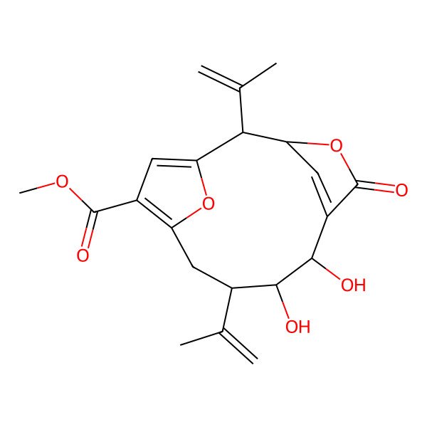 2D Structure of Gorgiacerodiol