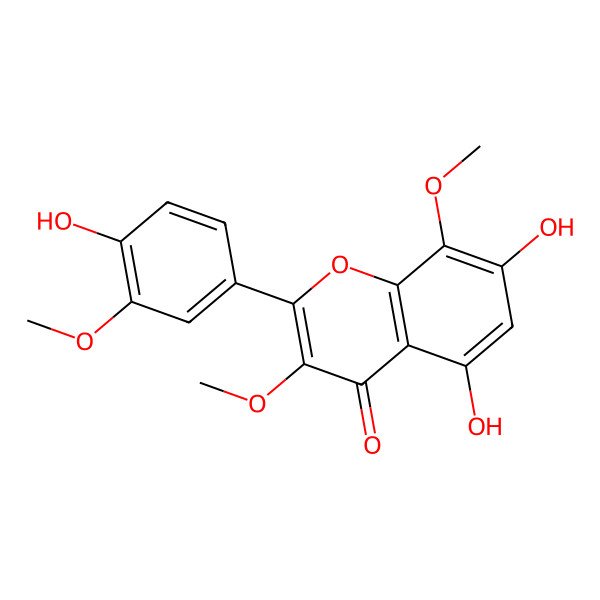 2D Structure of Gossypetin 3,8,3'-trimethyl ether 2D Structure of Gossypetin 3,8,3'-trimethyl ether