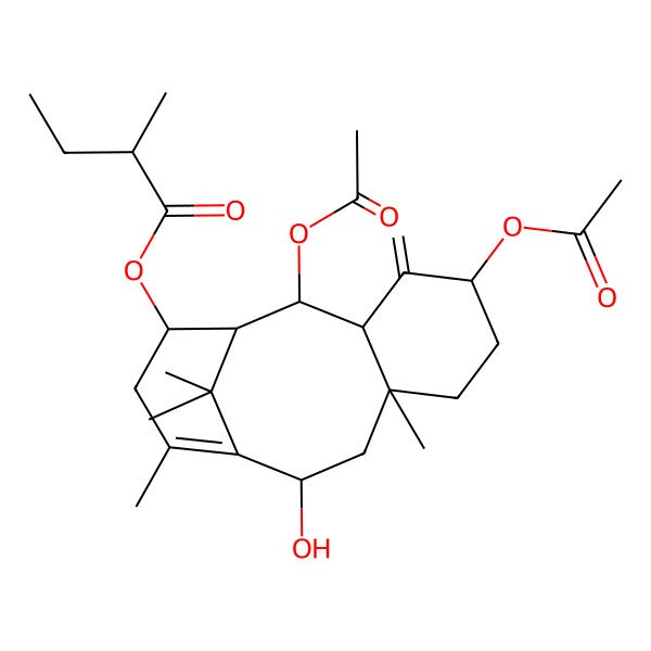 2D Structure of Hongdoushan A 2D Structure of Hongdoushan A