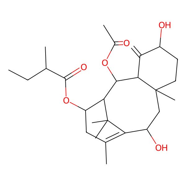 2D Structure of Hongdoushan C 2D Structure of Hongdoushan C