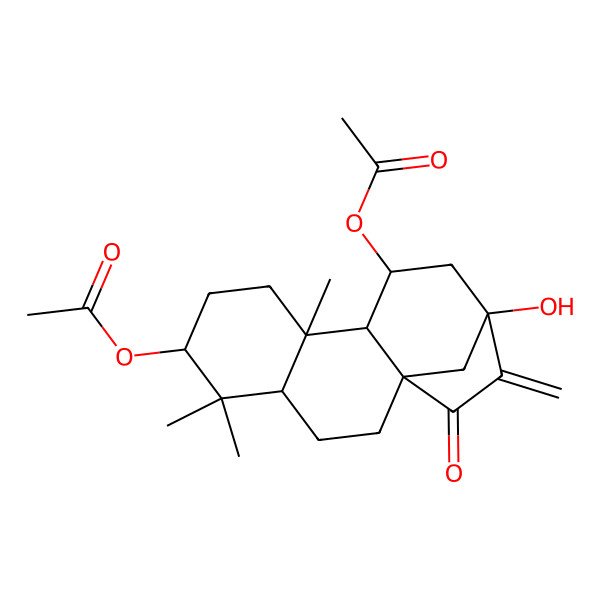 2D Structure of [(1R,4S,6R,9R,10S,11S,13R)-11-acetyloxy-13-hydroxy-5,5,9-trimethyl-14-methylidene-15-oxo-6-tetracyclo[11.2.1.01,10.04,9]hexadecanyl] acetate