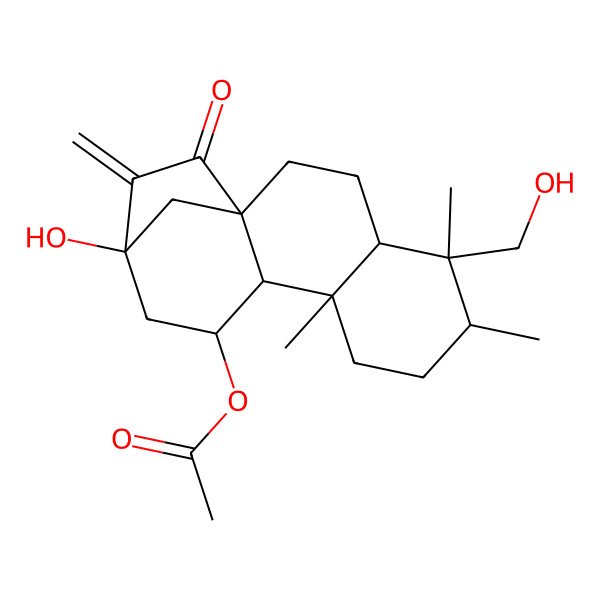 2D Structure of [(1R,4S,5R,6R,9R,10S,11S,13R)-13-hydroxy-5-(hydroxymethyl)-5,6,9-trimethyl-14-methylidene-15-oxo-11-tetracyclo[11.2.1.01,10.04,9]hexadecanyl] acetate