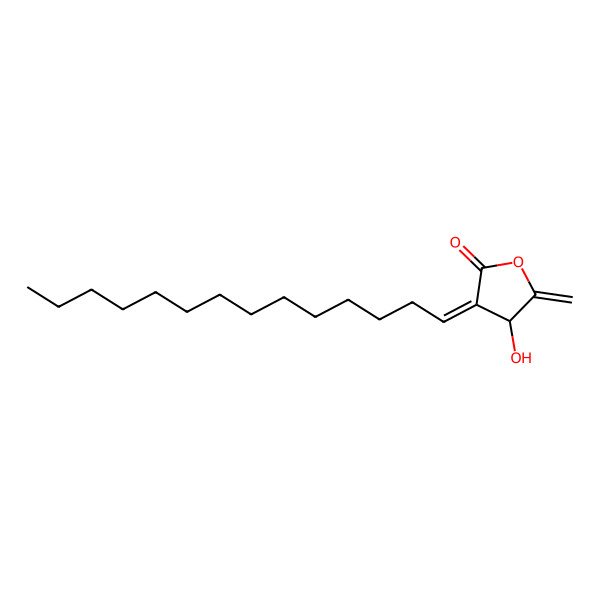 2D Structure of Isolinderanolide B