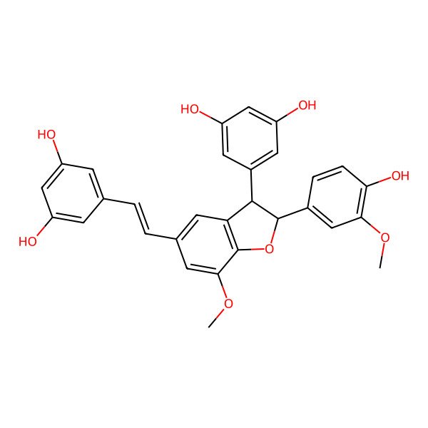 2D Structure of Isorhaponigetinin dimer