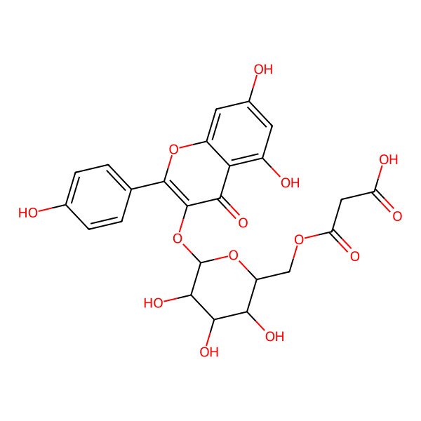 2D Structure of Kaempferol 3-(6''-malonylglucoside) 2D Structure of Kaempferol 3-(6''-malonylglucoside)