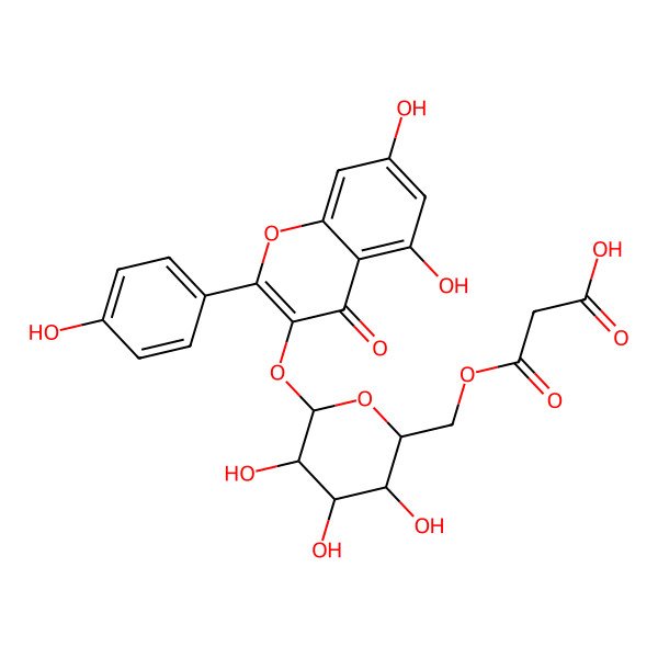 2D Structure of kaempferol 3-O-beta-D-(6''-O-malonyl)-glucoside