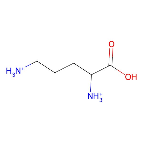 2D Structure of L-ornithinium(2+)