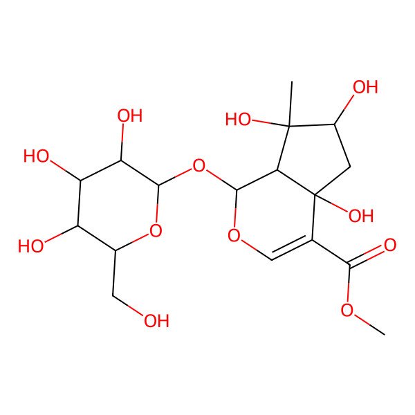 2D Structure of Lamiide 2D Structure of Lamiide