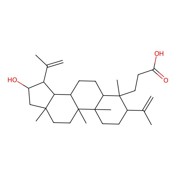 2D Structure of Lippiolic Acid