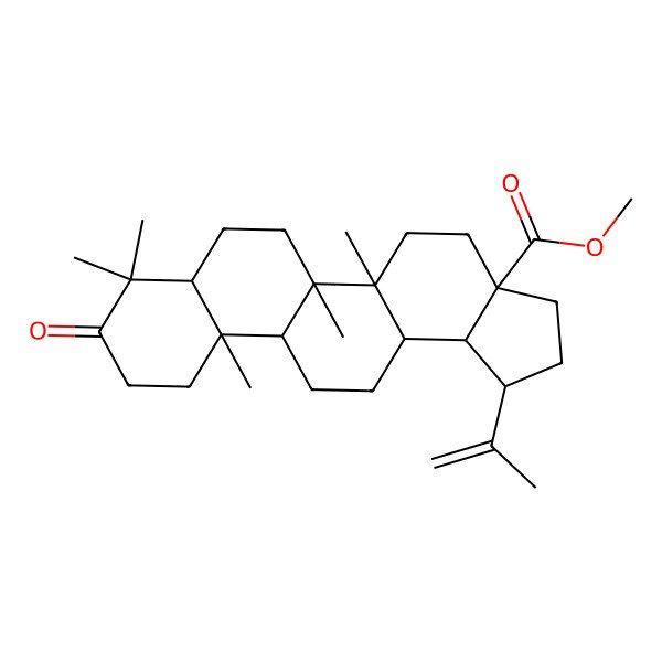 2D Structure of Methyl betulonate