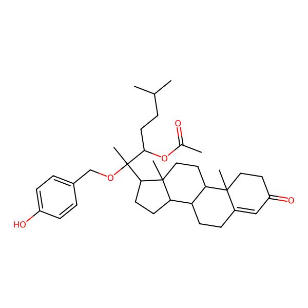 2D Structure of Muricellasteroid E