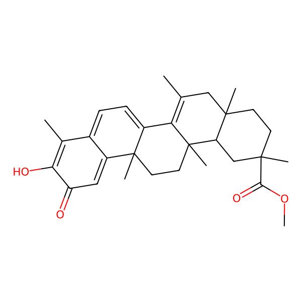 2D Structure of Netzahualcoyene