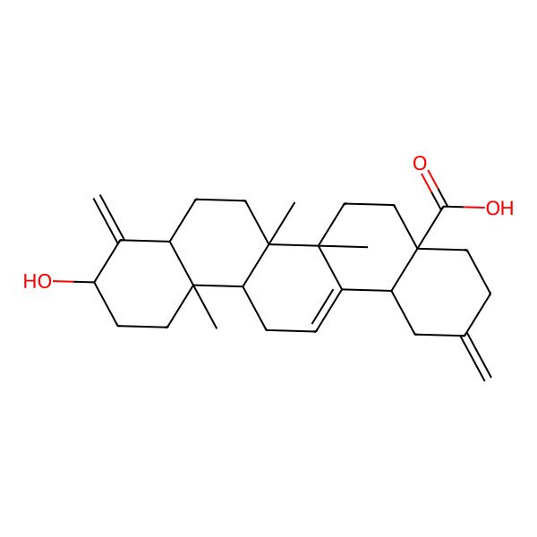 2D Structure of Paeonenoide B