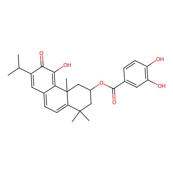 2D Structure of [(3S,4aS)-5-hydroxy-1,1,4a-trimethyl-6-oxo-7-propan-2-yl-3,4-dihydro-2H-phenanthren-3-yl] 3,4-dihydroxybenzoate