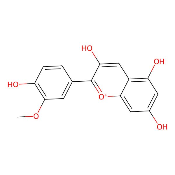 2D Structure of Peonidin