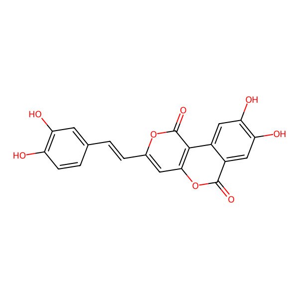 2D Structure of Phelligridin D