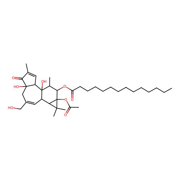 2D Structure of 9a-(Acetyloxy)-4a,7b-dihydroxy-3-(hydroxymethyl)-1,1,6,8-tetramethyl-5-oxo-1a,1b,4,4a,5,7a,7b,8,9,9a-decahydro-1H-cyclopropa(3,4)benzo(1,2-e)azulen-9-yl tetradecanoate