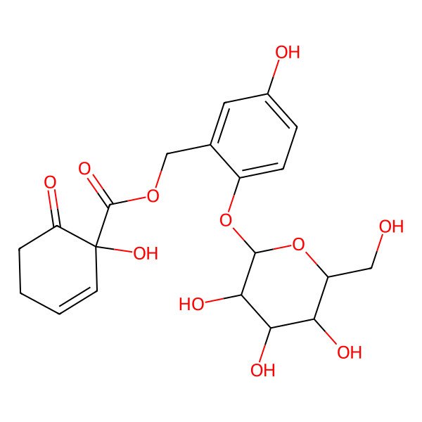 2D Structure of Poliothyrsin