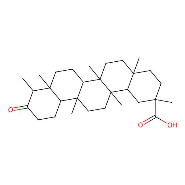 2D Structure of 2,4a,6a,6a,8a,9,14a-heptamethyl-10-oxo-3,4,5,6,6b,7,8,9,11,12,12a,13,14,14b-tetradecahydro-1H-picene-2-carboxylic acid