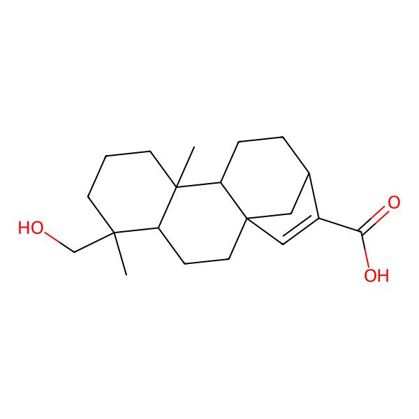 2D Structure of Pseudolaric acid D