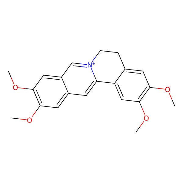 2D Structure of Pseudopalmatine